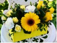 Cutie catifea cu flori galbene
